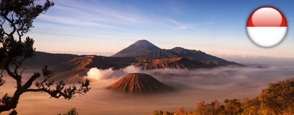 виза в Индонезию индонезийская виза для украинцев