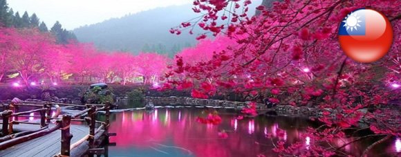 виза в Тайвань для граждан Украины тайванская виза для украинцев в Киеве, Львове, Харькове, Днепропетровске, Луганске, Донецке, Одессе, Луцке