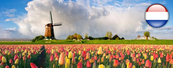 Голандська одноразова і мультивіза в Україні Шенген віза до Голландії. Оформлення без присутності.