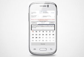 Калькулятор для описания остатка дней прибывания в шенгенской зоне