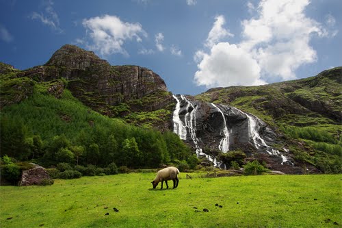 срочная виза в Ирландию